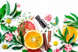 Citrus, Cinnamon sticks, sage and other botanicals for aromatherapy