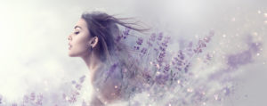 woman in lavender field 